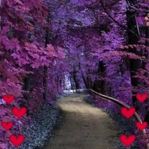 Meet your Posher, Alisha